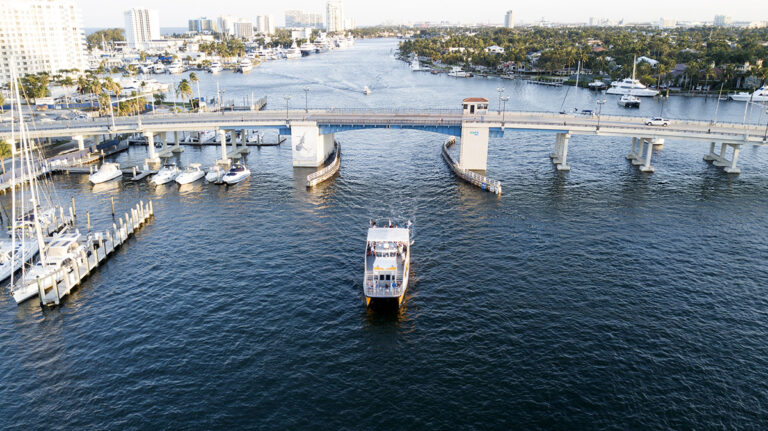 Gallery 0007 768x431