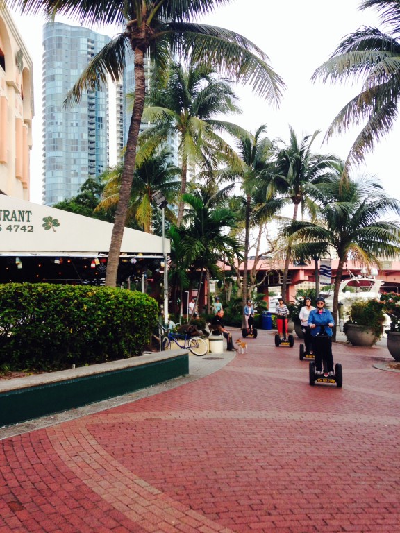 SegFtL2 e1398842979965