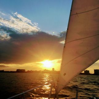 WhatsApp Image 2017 08 10 at 5.40.20 PM