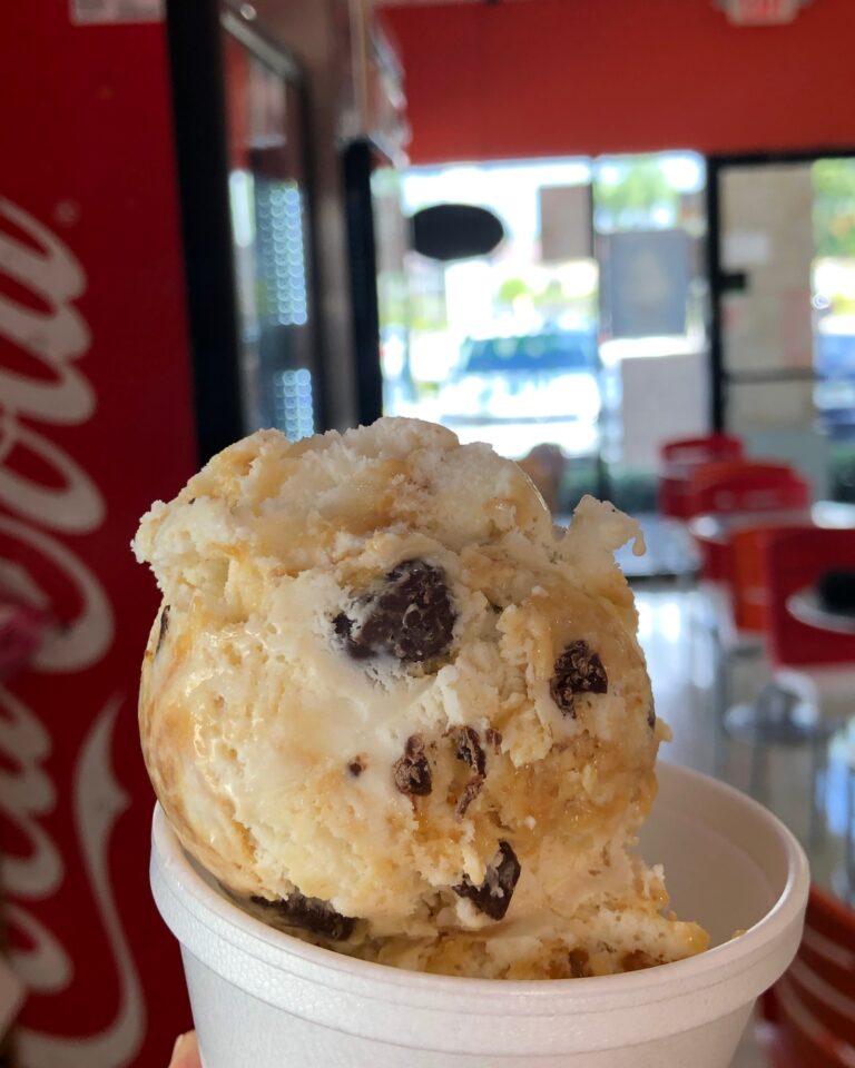 Brendy's Yogurt & Ice Cream My Jewish Florida