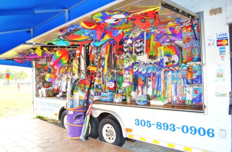 kite 768x503