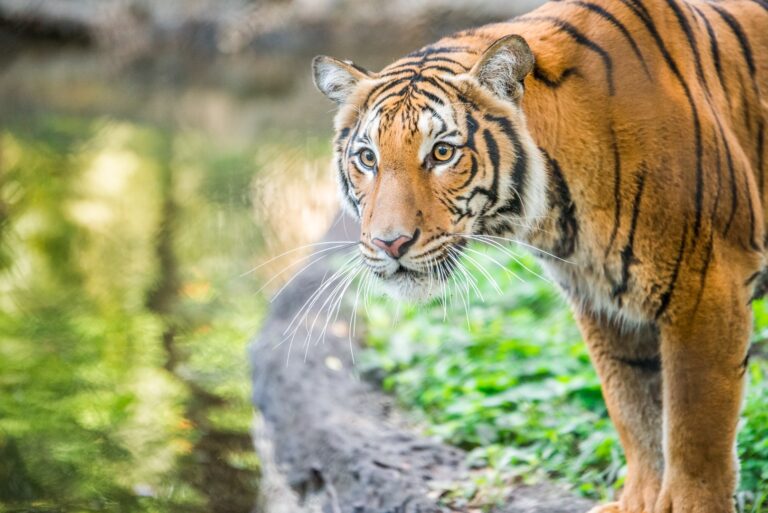 palm beach 4 768x513