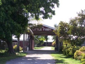 pg100 2162 300x224 1