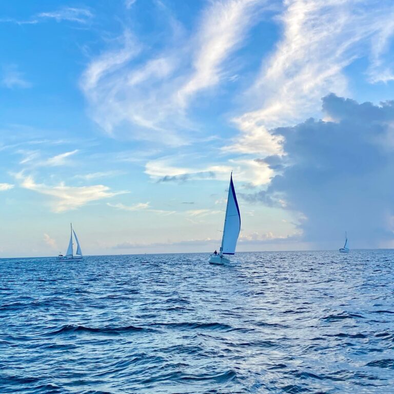 sailing 3 768x768