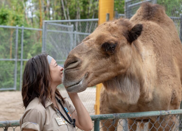 zoo 768x554