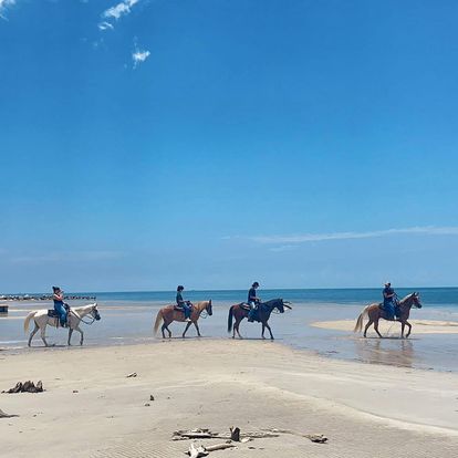 363825213 165656429866200 3565443958375857092 n